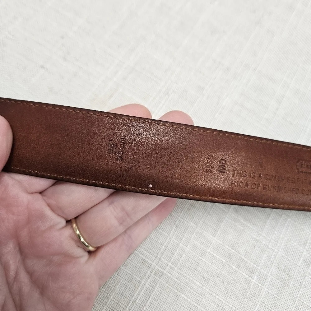 Coach Brown Belt Solid Leather Neutral Minimalist Office Business Casual size 38